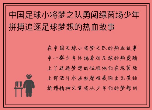 中国足球小将梦之队勇闯绿茵场少年拼搏追逐足球梦想的热血故事